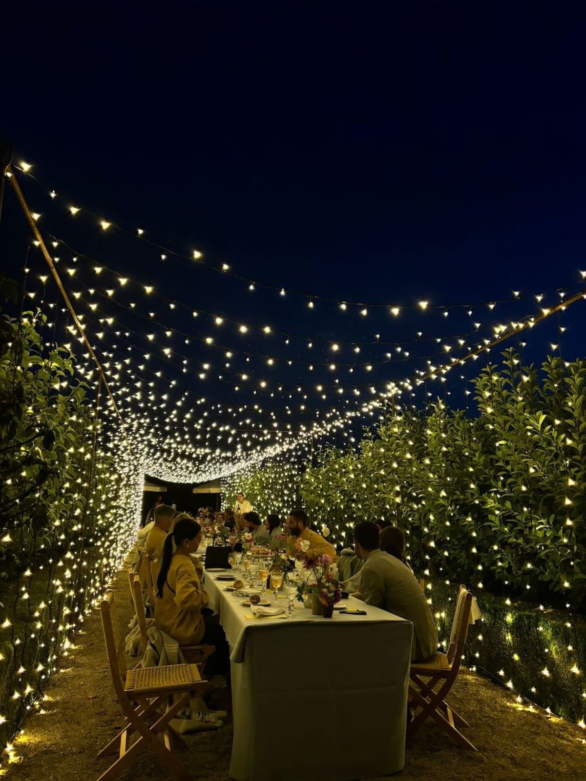 Fairy light tunnel at a wedding — bespoke lighting design by Stylish Entertainment