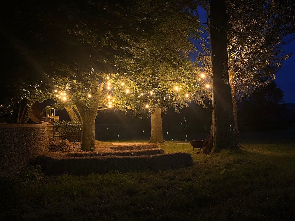Edison vintage festoon lighting strung outdoors on a warm summer night