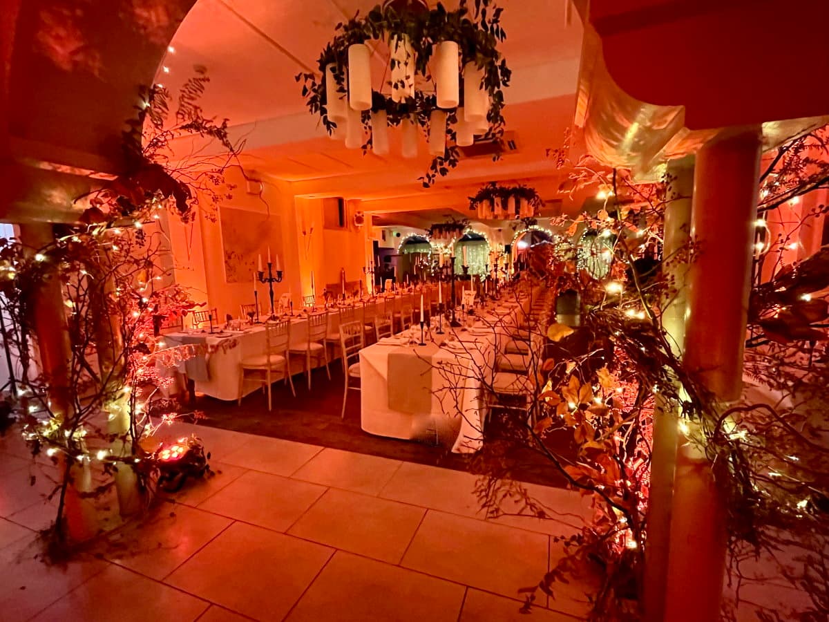 Professional party planning and event organization services