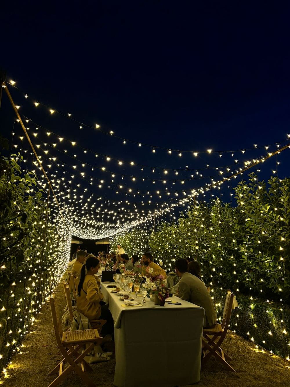 Dramatic fairy light tunnel—wedding production and venue styling in the South West.